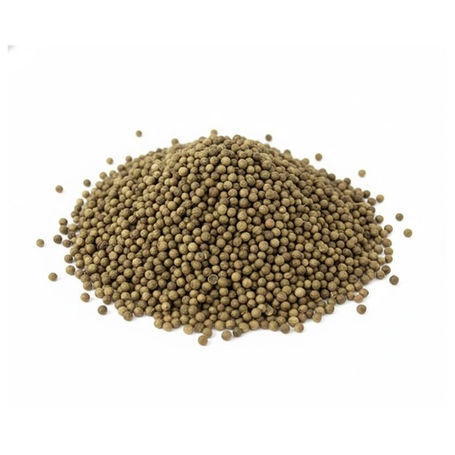 [ESCORIBS003] Coriandro x 1kg x 3u