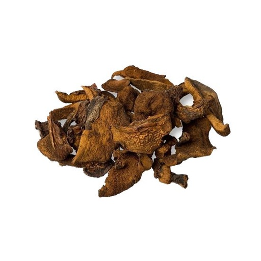 [FDHONSBPBS001] Hongos Secos de Pino Boletus Peru x 1kg