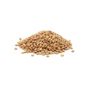 [CLLENTBS025] Lentejas x 25kg