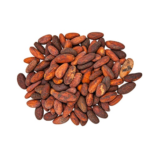 [SECACAOBS001] Semillas de Cacao x 1kg